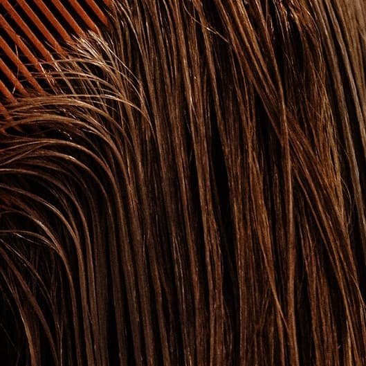 1 Year of Haircuts at Wildflowers Salon in Reidsville, NC